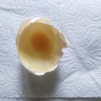 Şok Marketler Şok Marketten Aldığım Anadolu Çiftlik Marka Yumurta Bozuk Çıktı.