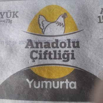 Şok Marketler Şok Marketten Aldığım Anadolu Çiftlik Marka Yumurta Bozuk Çıktı.