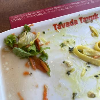 Tavada Tavuk Böcekli Salata Çıktı