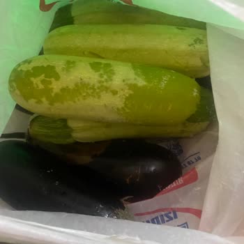 Arçelik Buzdolabı Kusurlu Ürün, Kusurlu Servis!