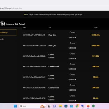 Para Ödemeyen Firma Trwin
