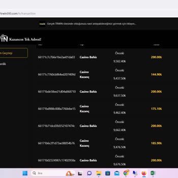 Para Ödemeyen Firma Trwin