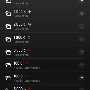 BaşarıBet Para Çekmiyorum Lütfen Para İşlemleri Giderin