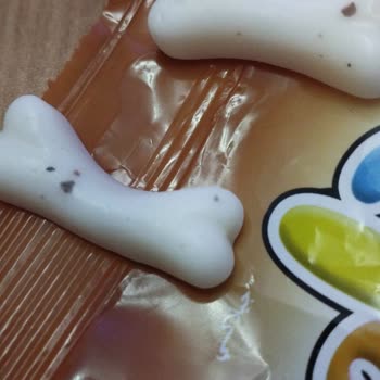 Elvan Gıda Jelibonlarda Bulunan Yabancı Maddeler Ve Sağlık Endişeleri