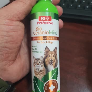 zoo.com.tr Manavkuyu Son Kullanım Tarihi Geçmiş Ürün Yolladı!