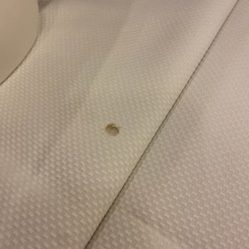 Kafem Konya Meram Bağları Kafem