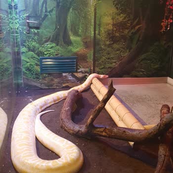 Emaar Akvaryum Hayvanlar Kotu Sartlar Alinda Yaşıyor