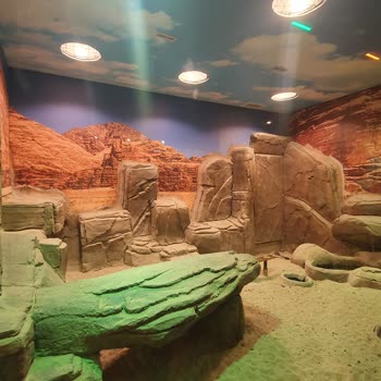 Emaar Akvaryum Hayvanlar Kotu Sartlar Alinda Yaşıyor