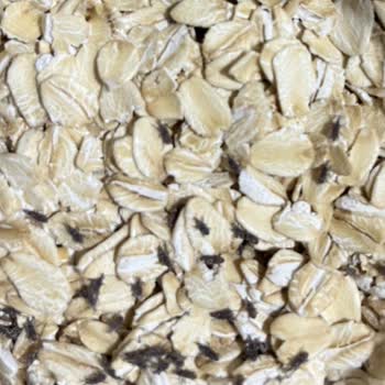 Eti Gıda Kaliteli Bulduğum Eti Lifalif'te Böcek Ve İpliklenme Sorunu!