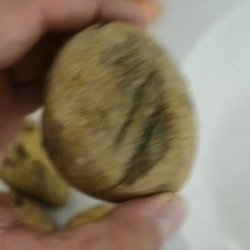 Şok Market Cepte Şok Siparişi Hakkında. Çürük Ürün