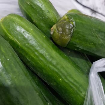 Şok Market Cepte Şok Siparişi Hakkında. Çürük Ürün