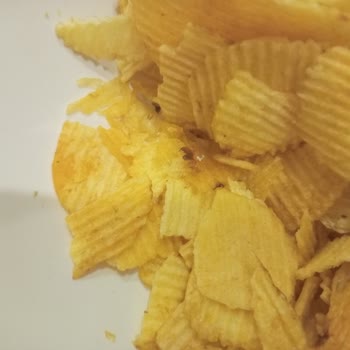 Yabancı Cisim Peynirli Soğanlı Ruffles Cips