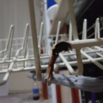 Beko Taşımacılık Beko Bulaşık Makinesi Raflarında Paslanma Sorunu