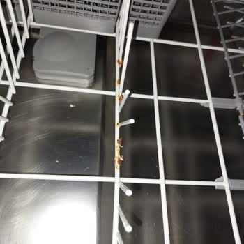 Beko Taşımacılık Beko Bulaşık Makinesi Raflarında Paslanma Sorunu