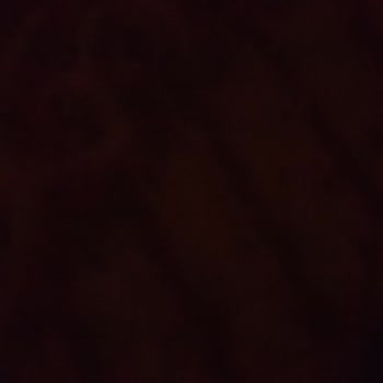 Binance TR E-posta Numara Sıfırlamak İstiyorum