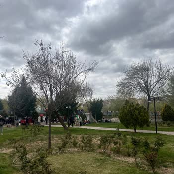 SSC Tur Pişmanlıktır