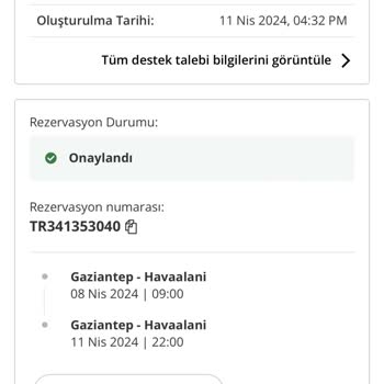 Pegasus'a Güvenip Budget'tan Araç Kiralamak
