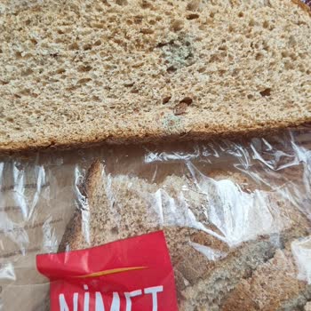 A101 Tarihi Geçmiş Küflü Ekmek