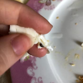 Migros Hellim Peynirden Çıkan Sinek