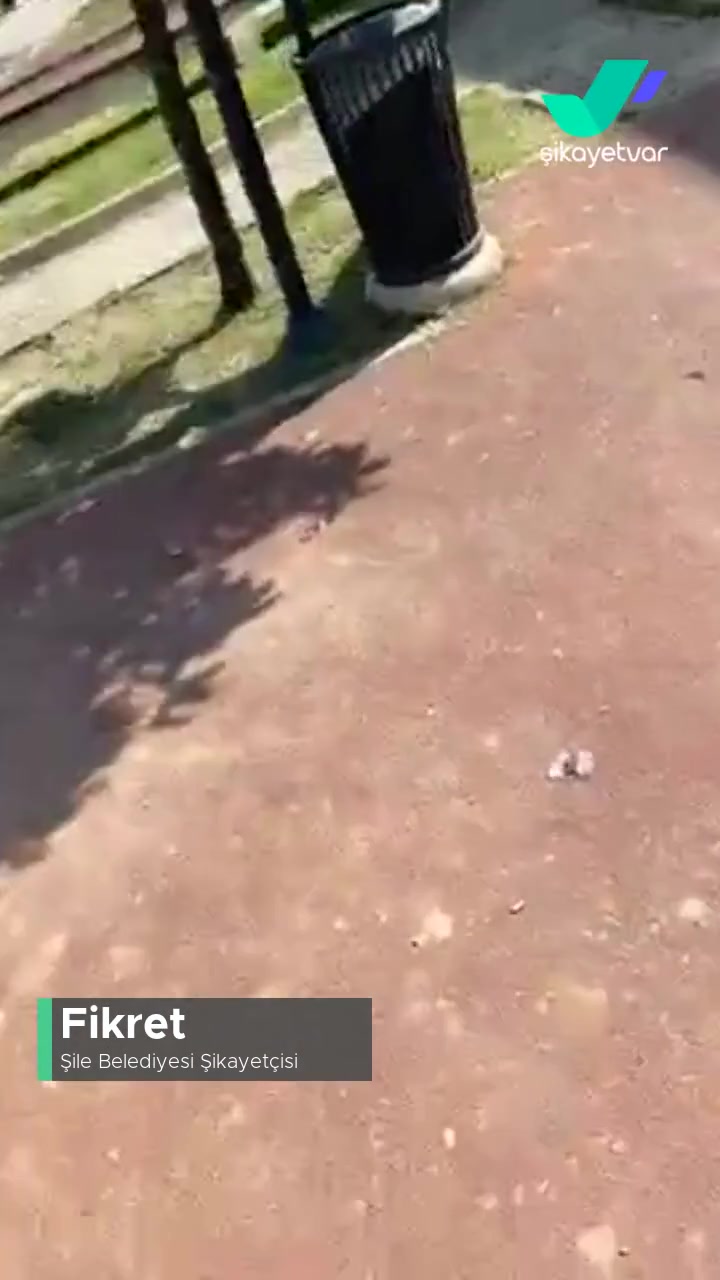 Şile Belediyesi Boyacıdere Parkı Yardım İsteği videonun kapak resmi