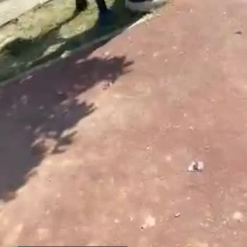Şile Belediyesi Boyacıdere Parkı Yardım İsteği