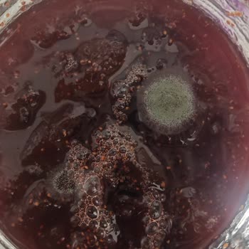 A101 Bolmix Çilek Reçeli Küflü Çıktı!