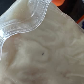 Tahsildaroğlu Hoş Olmayan Cisim