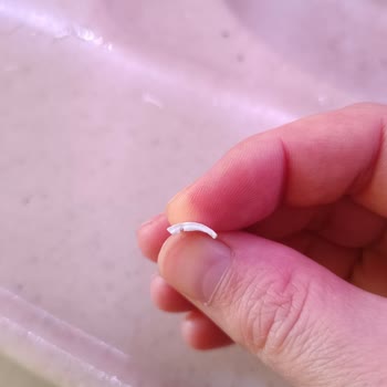 Tek Süt Kapak Sorunu