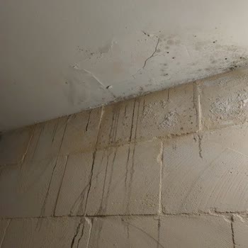 Artuklu Kervansarayı (Mardin) Müşteri Memnuniyetsizliği Hijyen Sorunu!