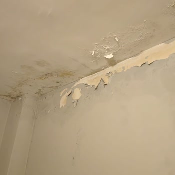 Artuklu Kervansarayı (Mardin) Müşteri Memnuniyetsizliği Hijyen Sorunu!