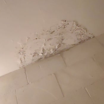 Artuklu Kervansarayı (Mardin) Müşteri Memnuniyetsizliği Hijyen Sorunu!