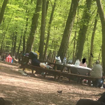 Neşet Suyu Tabiat Parkı Şikayeti