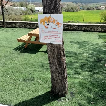Daday Belediyesi Daday Atatürk Oyun Parkında Çocuklar İçin Tehlikeli Tabela.
