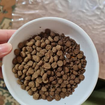 Farmina Nd Kedi Maması Renk Farklılığı