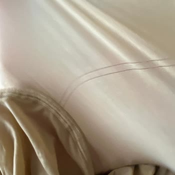 Shapelys İade İçin Ulaşamama