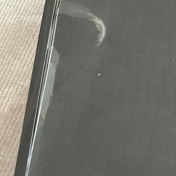 Trendyol Express Kırık Ürün İadesi