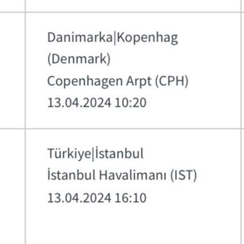 İstanbul Havalimanı El Bagajı Sorunu