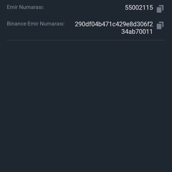 Binance TR'den Binance Global Sol Transfer Gerçekleşmedi