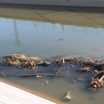 DSİ (Devlet Su İşleri) Mardin Kanalı İçi Çamur Dolmuş