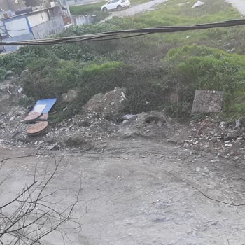 Esenyurt Kaymakamlığı Mahalledeki Çevre Kirliliği Ve Haşere Sorunları