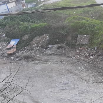 Esenyurt Kaymakamlığı Mahalledeki Çevre Kirliliği Ve Haşere Sorunları