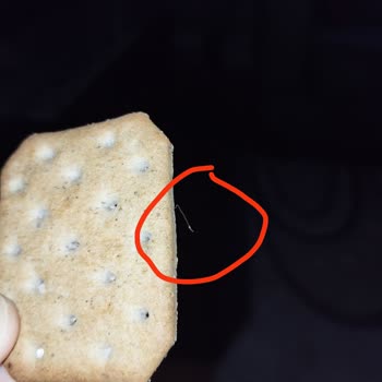 A101 Zeytinli Krakerde Beklenmedik Misafir: Üretimde Hijyen Sorunu