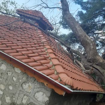 Karacasu Belediyesi Dedebağı Mescit Ve Avlularının Bakımsızlığı