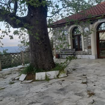 Karacasu Belediyesi Dedebağı Mescit Ve Avlularının Bakımsızlığı