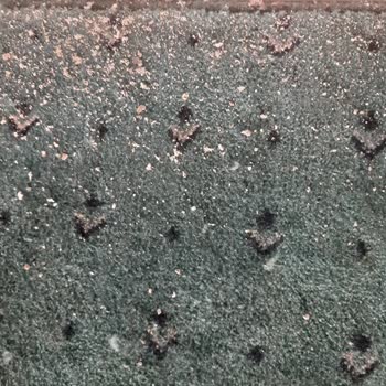 Karacasu Belediyesi Dedebağı Mescit Ve Avlularının Bakımsızlığı