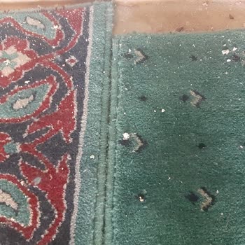 Karacasu Belediyesi Dedebağı Mescit Ve Avlularının Bakımsızlığı