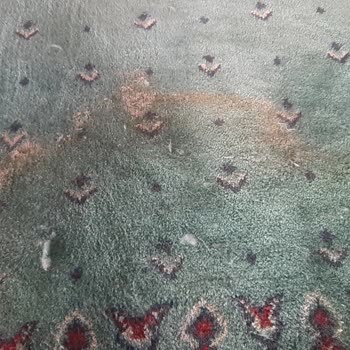 Karacasu Belediyesi Dedebağı Mescit Ve Avlularının Bakımsızlığı