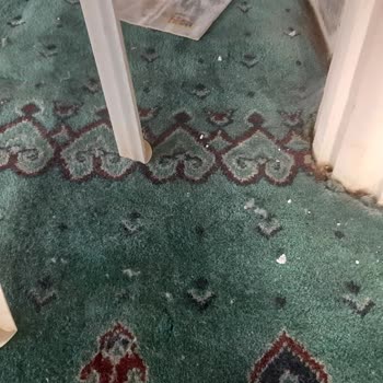 Karacasu Belediyesi Dedebağı Mescit Ve Avlularının Bakımsızlığı