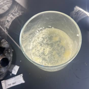 Cremma Coffee Caddebostan Cremma Garsonların Kötü Davranışları