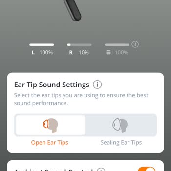 JBL Tune Flex Kulaklık